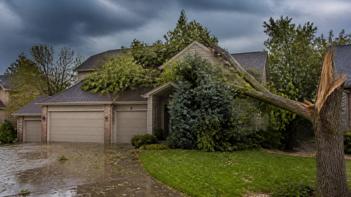 A large fallen tree branch resting on the shingles of a suburban home after a storm, dark clouds overhead, wet driveway and scattered leaves in the foreground