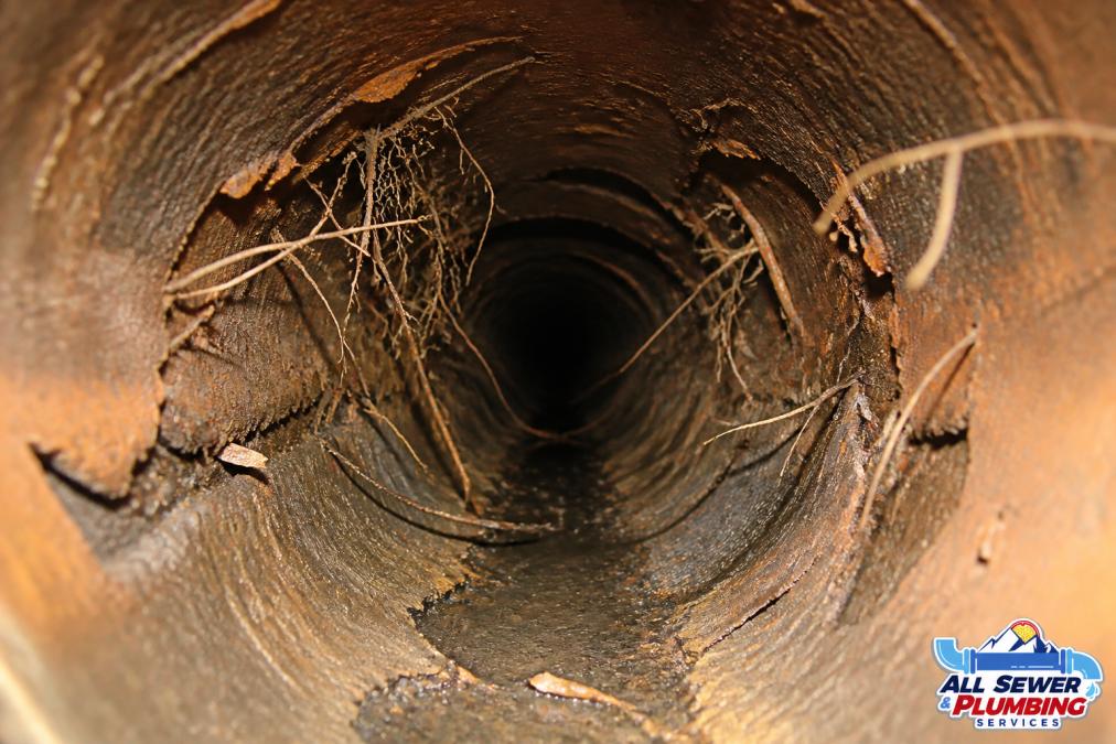 Professional illustration showing epoxy pipe lining for clay pipes