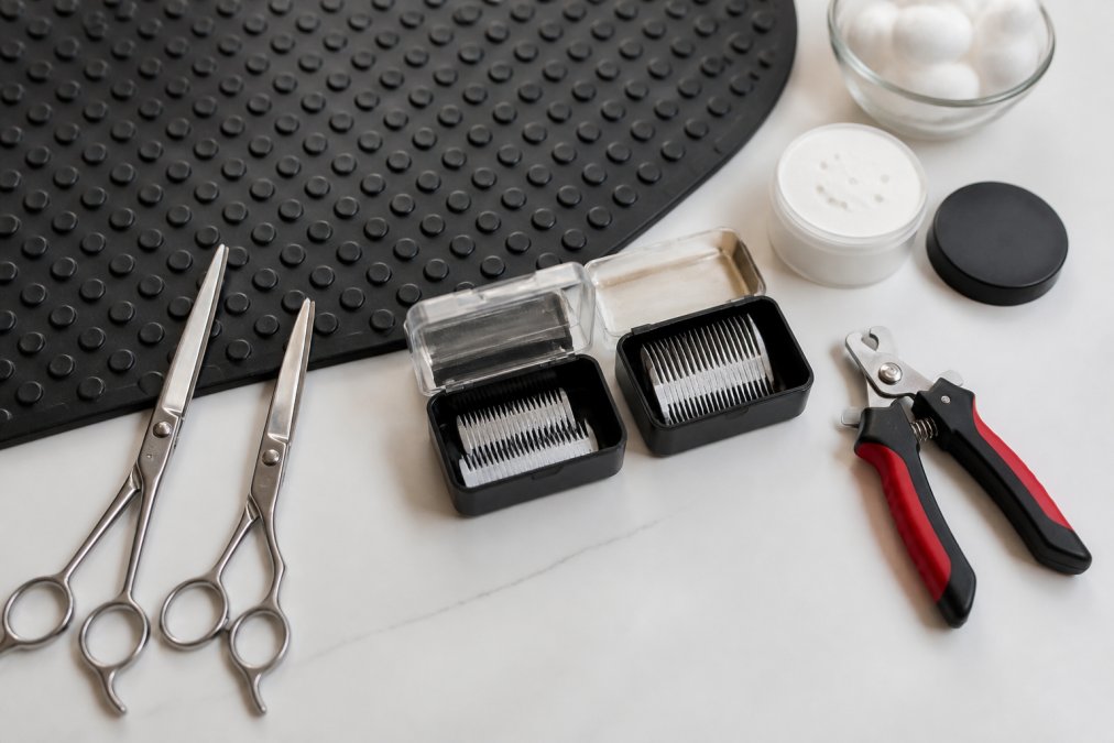 Close-up of essential dog grooming safety equipment arranged neatly on a clean white surface, including grooming shears with rounded tips, clipper blades in their cases, styptic powder in a small container, nail clippers, cotton balls, and a non-slip rubber mat with texture, natural daylight illumination
