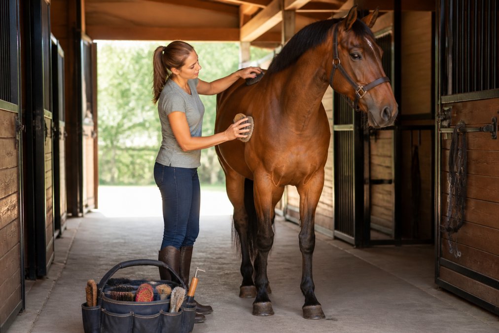 A horse owner in casual barn clothes using a curry comb and hard brush on a bay horse in a sunlit stable aisle, with a grooming tote of brushes and hoof pick nearby on the floor