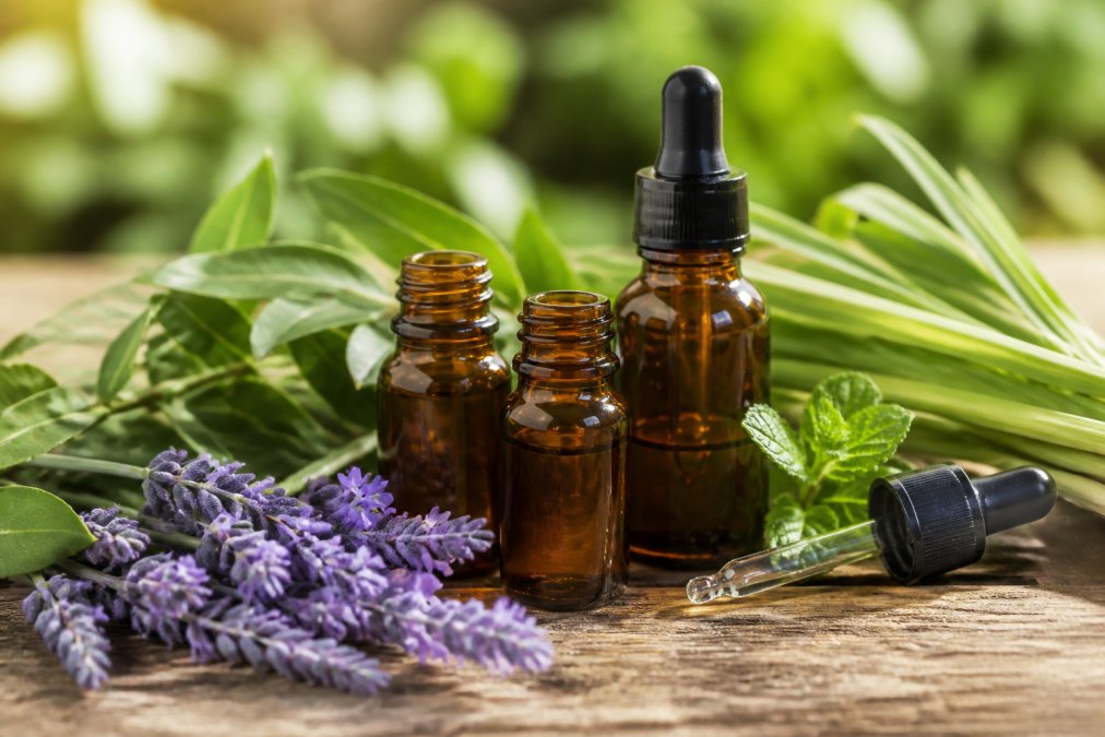Close-up of essential oil bottles including eucalyptus, citronella, and lavender arranged with fresh herbs, a glass dropper, and a wooden surface under natural lighting