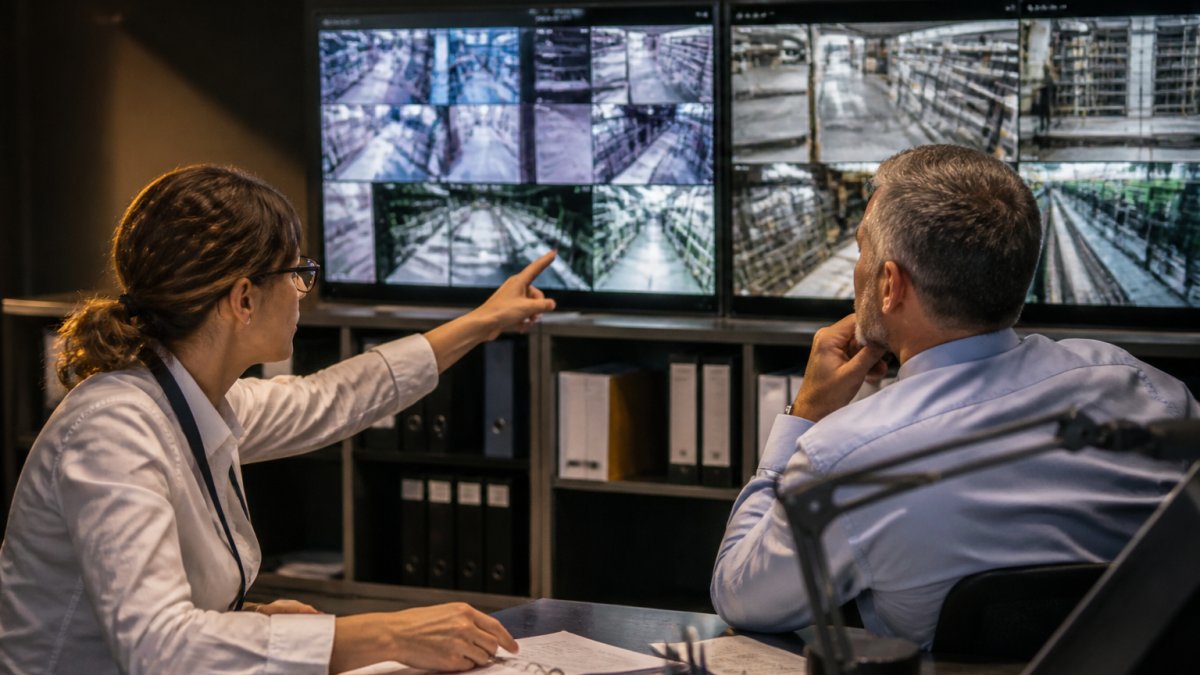Security team monitors access permissions for establishing safety guardrails for autonomous software agents