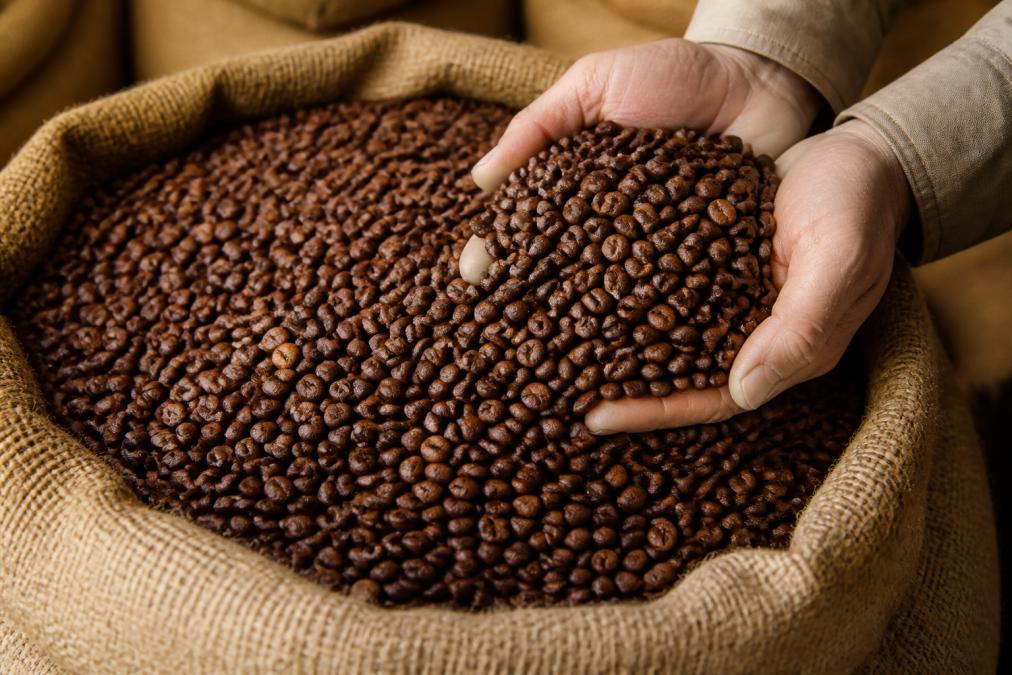 Close-up of freshly roasted coffee beans in a burlap sack with Fair Trade certification labels visible, natural lighting highlighting the bean texture and rich color variations