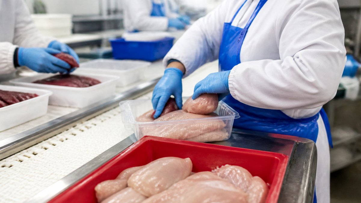 Éviter la contamination croisée en production halal