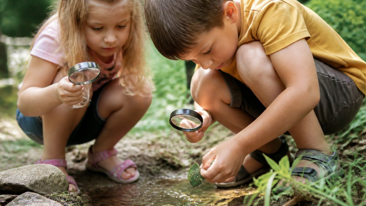 Children engaged in hands-on exploration outdoors, examining nature with curiosity and wonder, examining plants and insects together with focused attention and genuine excitement