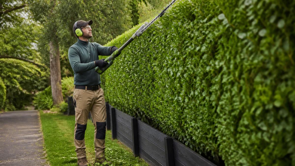 Expert Hedge Trimming in the Dandenong Ranges