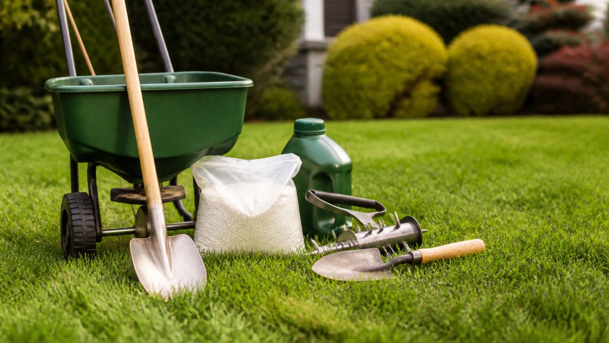 Expert Lawn Care: What Homeowners Need to Know