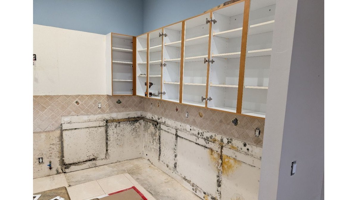 Mold Remediation in Vero Beach: A Practical Guide