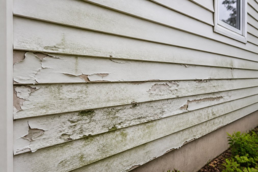 Close-up of residential home exterior showing peeling paint, moisture damage, and deterioration on vinyl siding with visible mold and discoloration