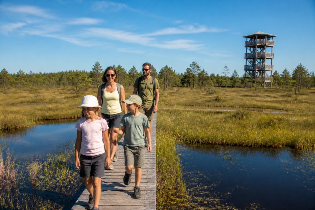 A family with children walks along a narrow wooden boardwalk through a vast moorland landscape, with reeds and dark peat pools on either side; in the background, a tall observation tower stands beneath a blue sky