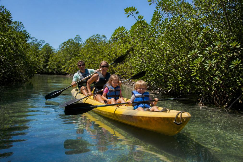 A family with young children paddling tandem kayaks through a calm, shallow mangrove waterway on a sunny Florida day, with lush green mangroves on both sides and clear blue-green water reflecting the sky