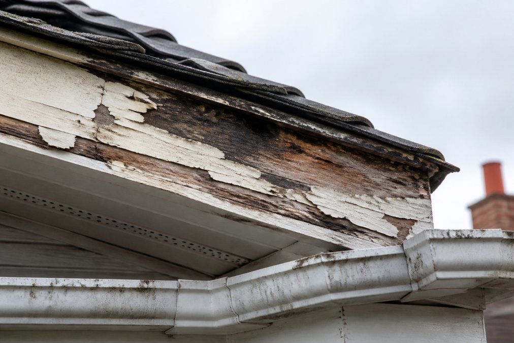 Close-up of deteriorated wooden fascia boards showing dark rot staining, peeling paint in layers, and visible wood decay on a residential roofline with guttering visible