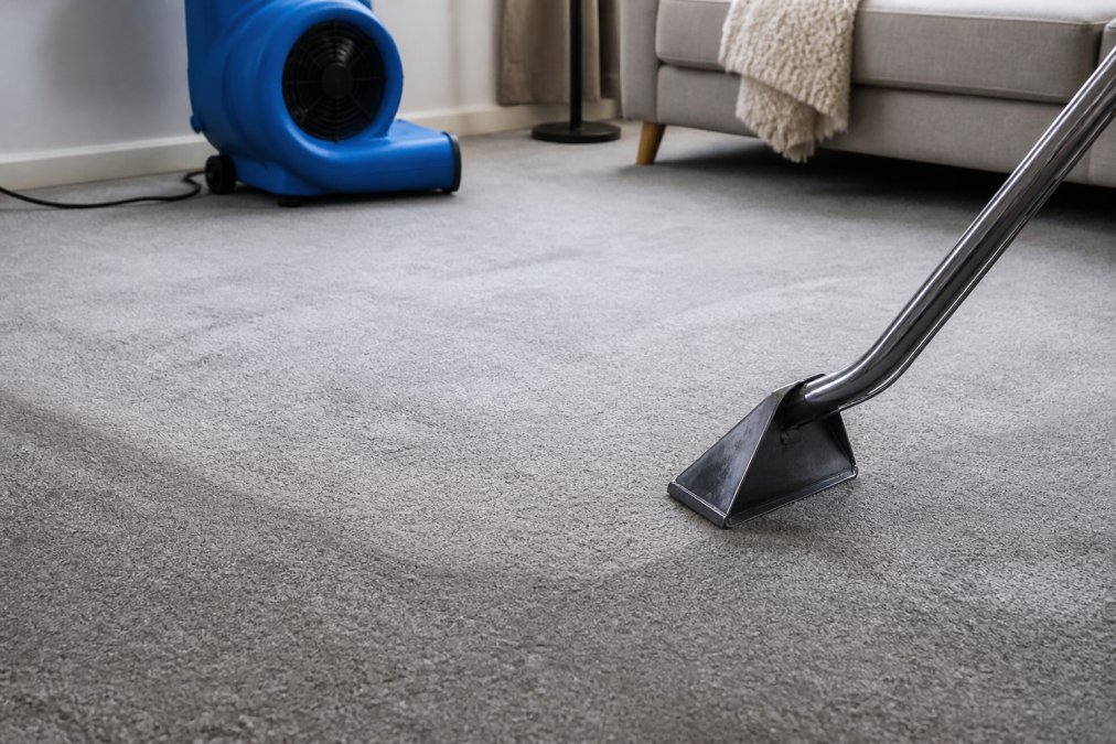 Fast Drying Carpet Cleaning Methods That Work