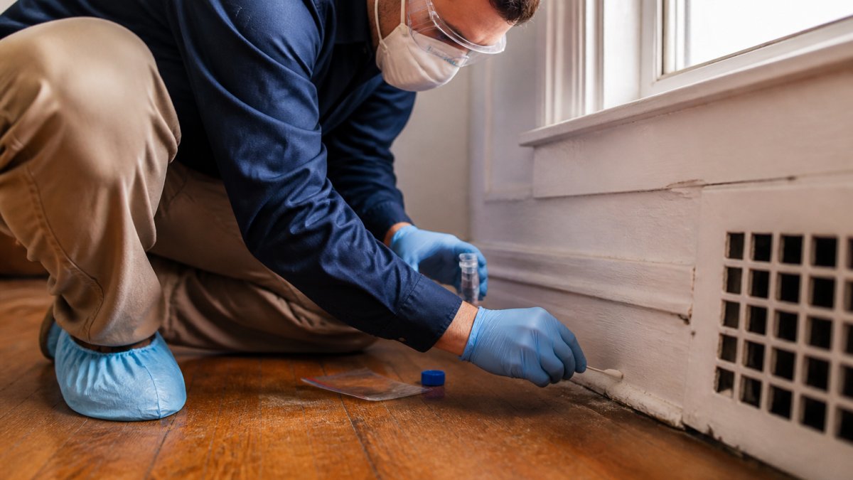 Fast Lead Dust Testing: Your Philadelphia Compliance Guide