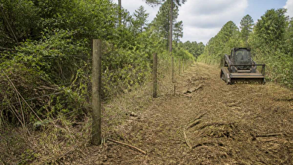 Fence Line Clearing East Texas: A Landowner's Guide