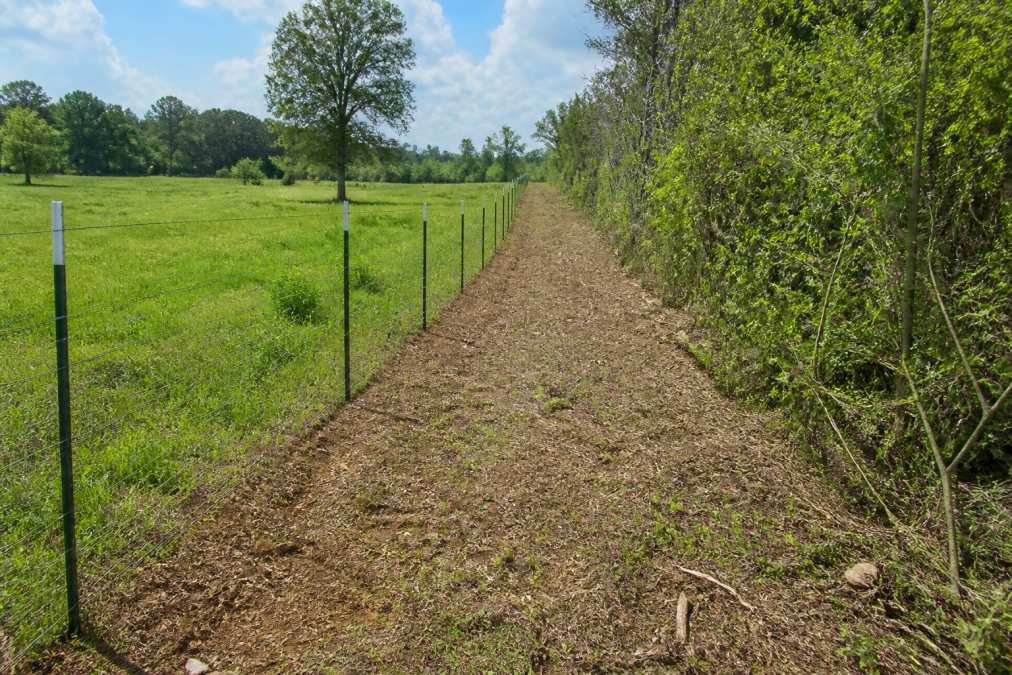 Newly installed wire fence bordering a pasture after professional fence line clearing in East Texas.