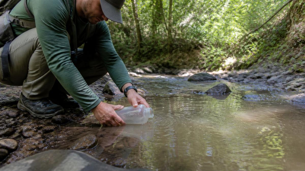 Hands carefully collecting water from a clear section of a silty stream into a water container, showing proper technique to minimize sediment disturbance, with natural sunlight filtering through trees