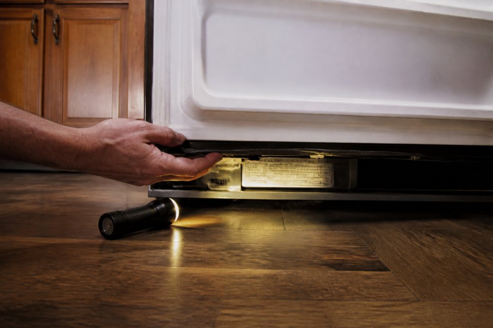 Close-up of a person's hand lifting the bottom edge of a refrigerator door to reveal the manufacturer's model and serial number plate, flashlight illuminating the label in a home kitchen