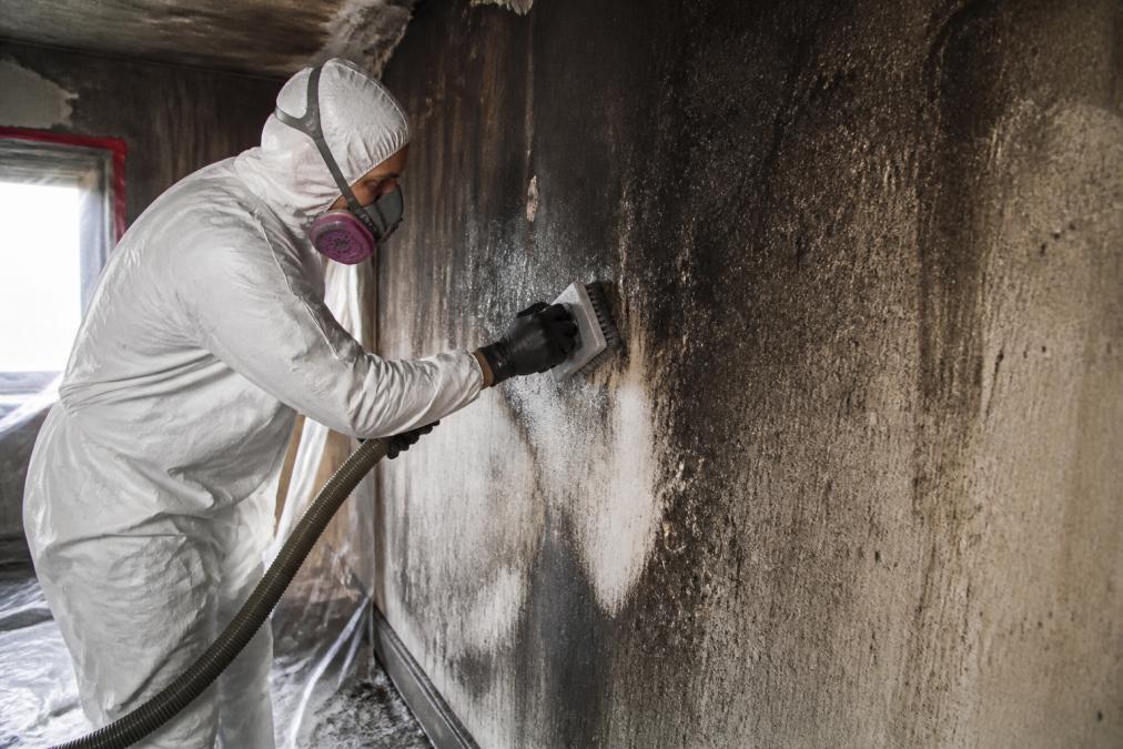 Professional restoration crew member using specialized soot removal equipment and chemical cleaners on fire-damaged wall surface, demonstrating proper technique with protective equipment and industrial cleaning tools