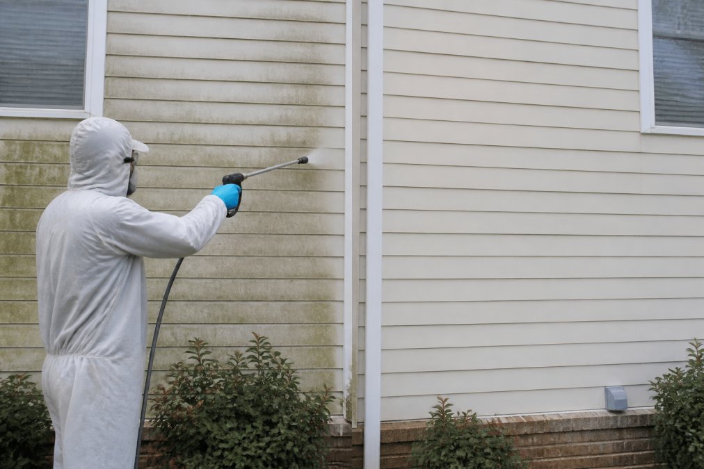 A technician in protective gear using a low-pressure soft wash wand on a house exterior, with visible mold and algae on the siding before treatment