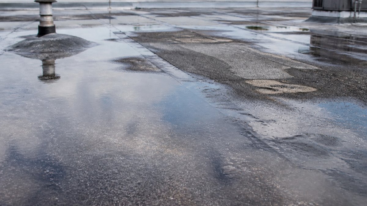 Fix Ponding Water on Flat Roofs: A Step-by-Step Guide