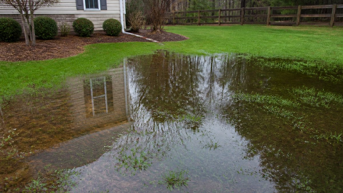 Fix Standing Water in Your Yard: A Step-by-Step Guide