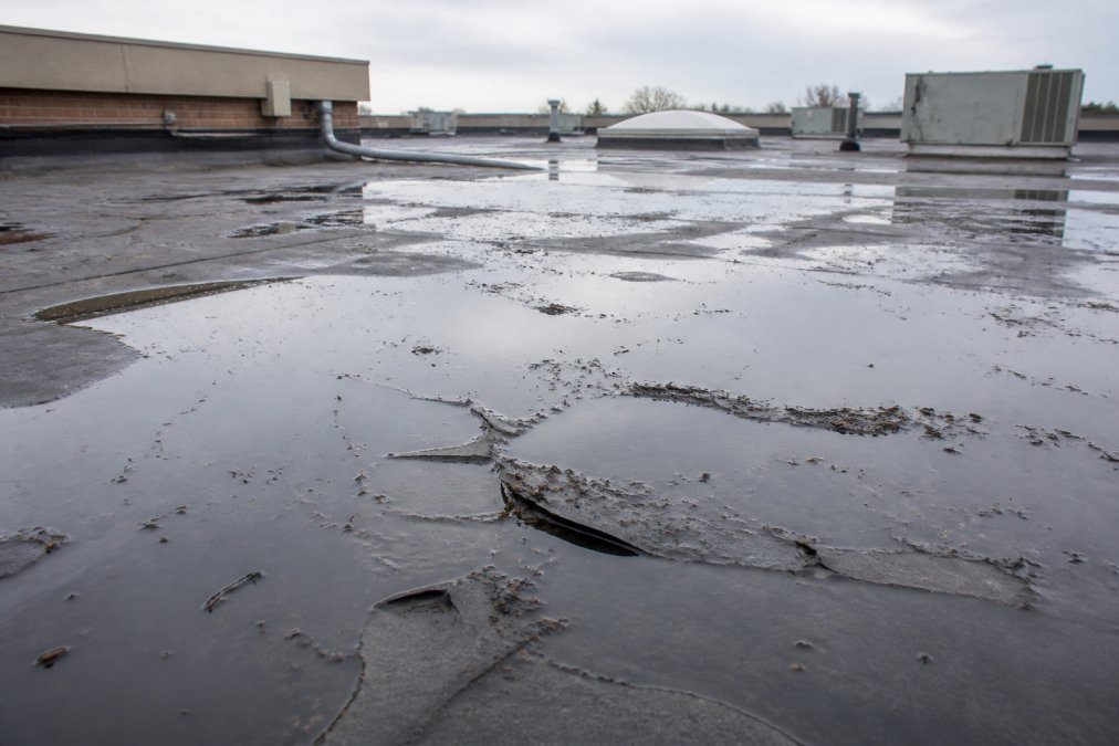 Close-up of water pooling and ponding on a flat commercial roof surface with visible membrane damage, debris scattered across the wet areas, and deteriorating seams under overcast daylight
