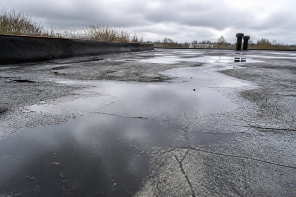 Close-up of flat roof surface showing visible pooling water, cracks in the dark membrane, and weathered areas with overcast sky visible at horizon