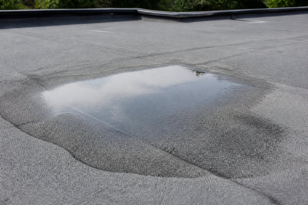 Close-up view of water pooling in a depression on a flat roof, with clear standing water visible against the roof membrane and surrounding dry areas