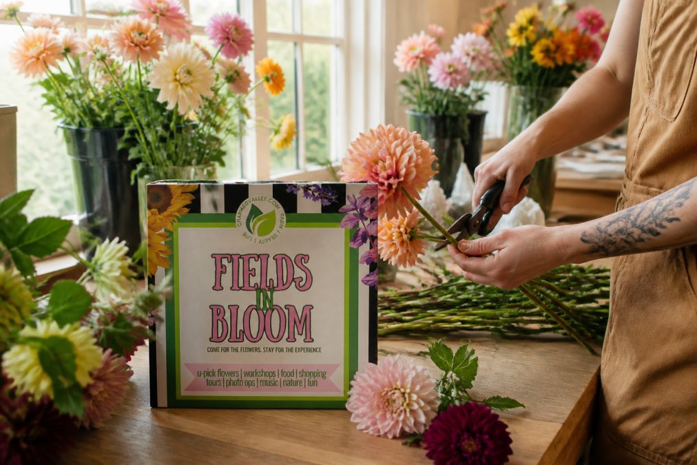 Florist arranging fresh-cut dahlias and zinnias at a workbench, hands visible trimming stems with scissors, natural light streaming from a nearby window