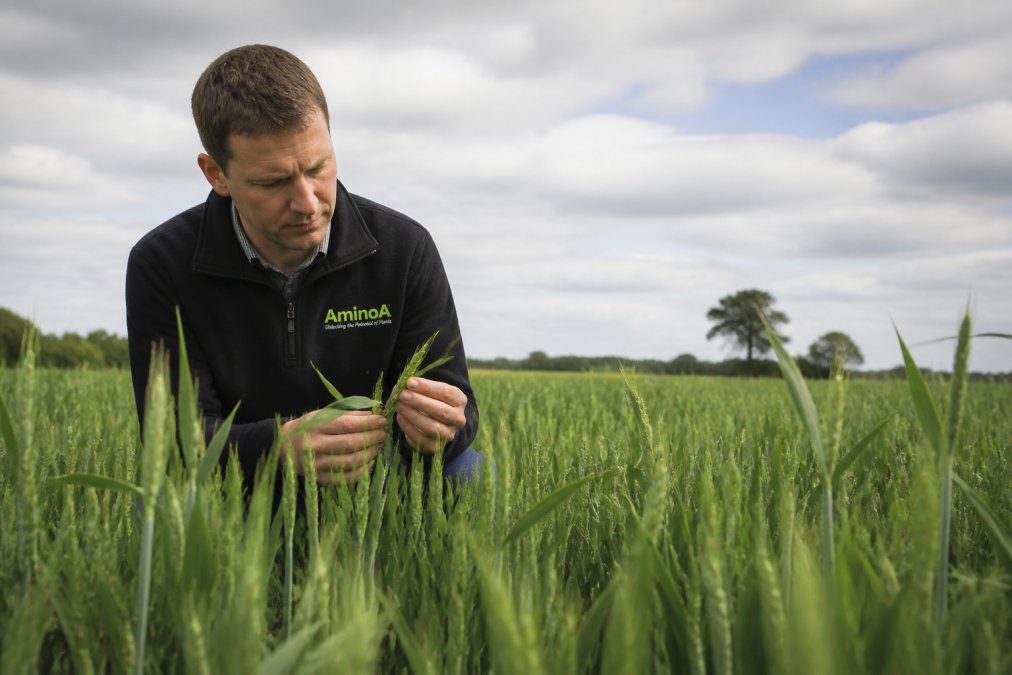 Foliar Nutrition for Cereal Crops: Benefits & Timing