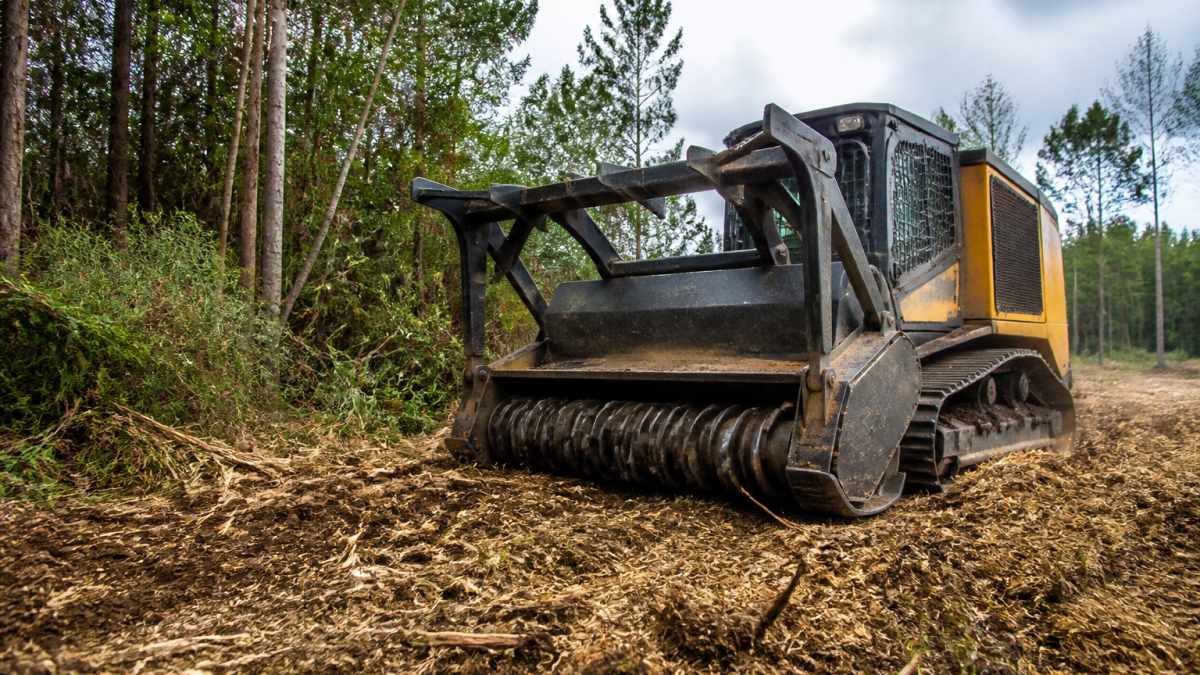 Forestry Mulching East Texas: Cost, Benefits & Guide