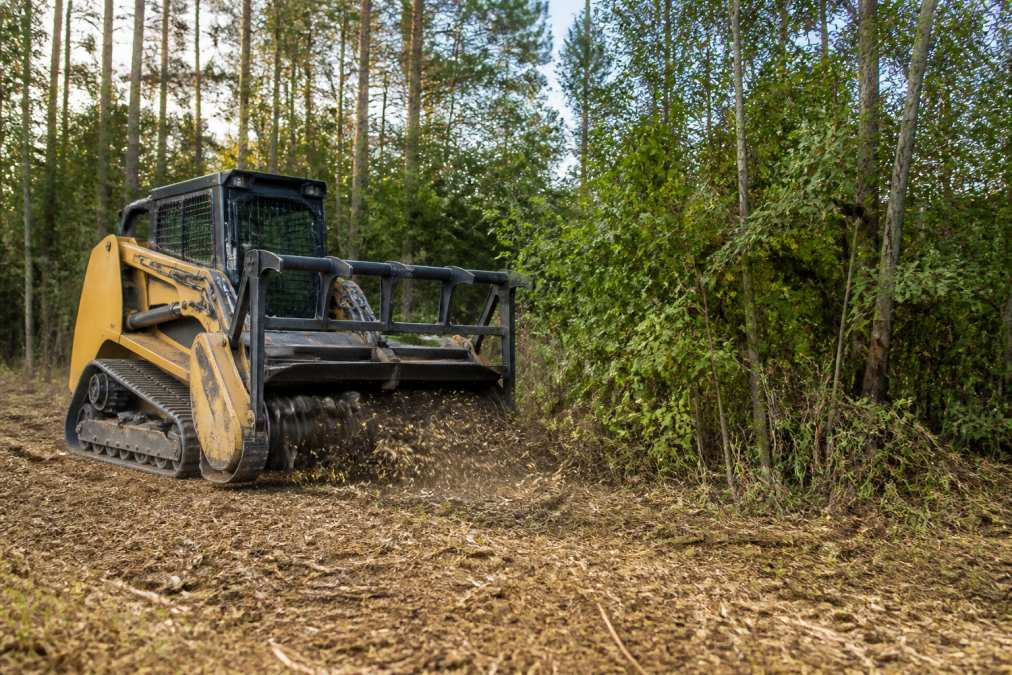 Tracked machine performing forestry mulching on thick East Texas brush with pine trees in the background
