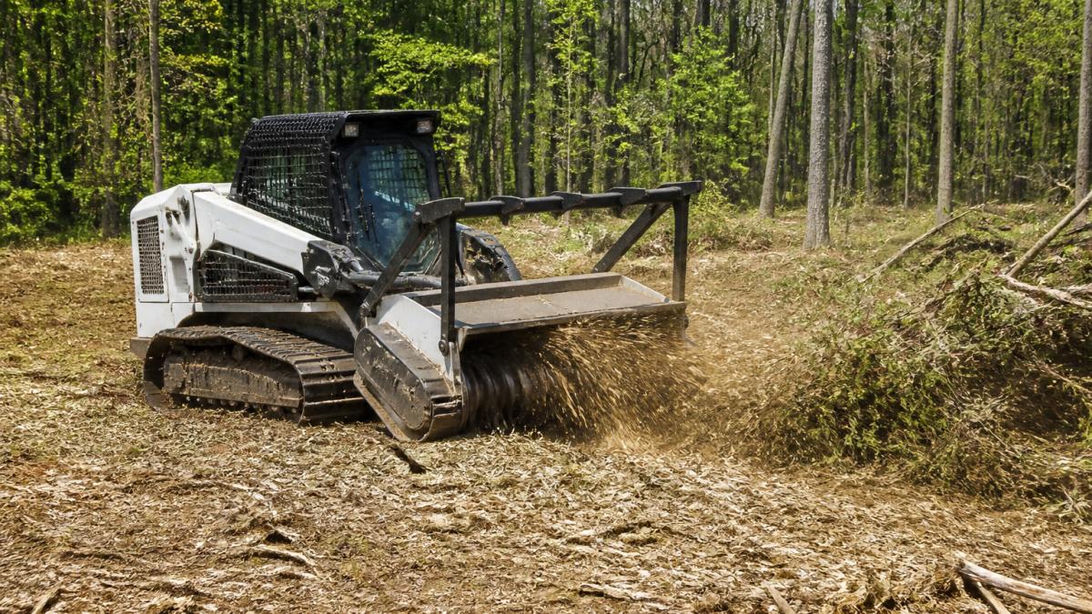 Forestry Mulching for Land Clearing: The Complete Guide