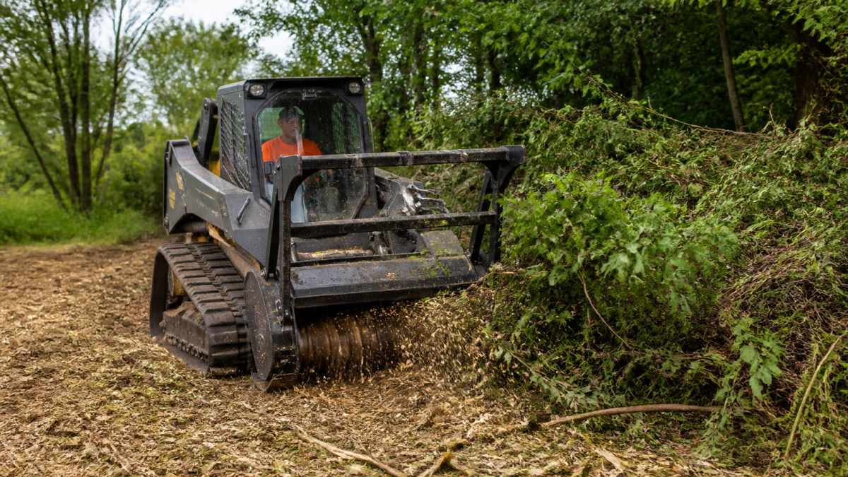 Forestry mulcher with rotating drum and steel chipper teeth actively grinding dense brush and undergrowth into fine mulch on overgrown property, operator visible in cabin