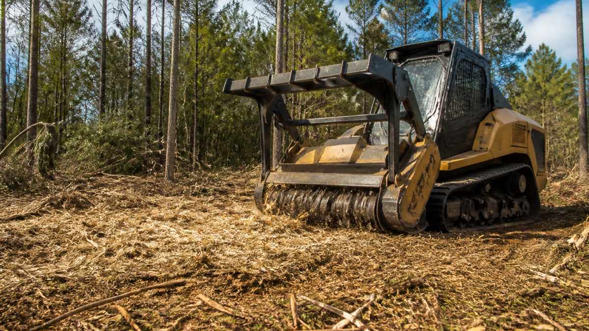 Forestry Mulching Longview TX: Cost and Site Prep Guide