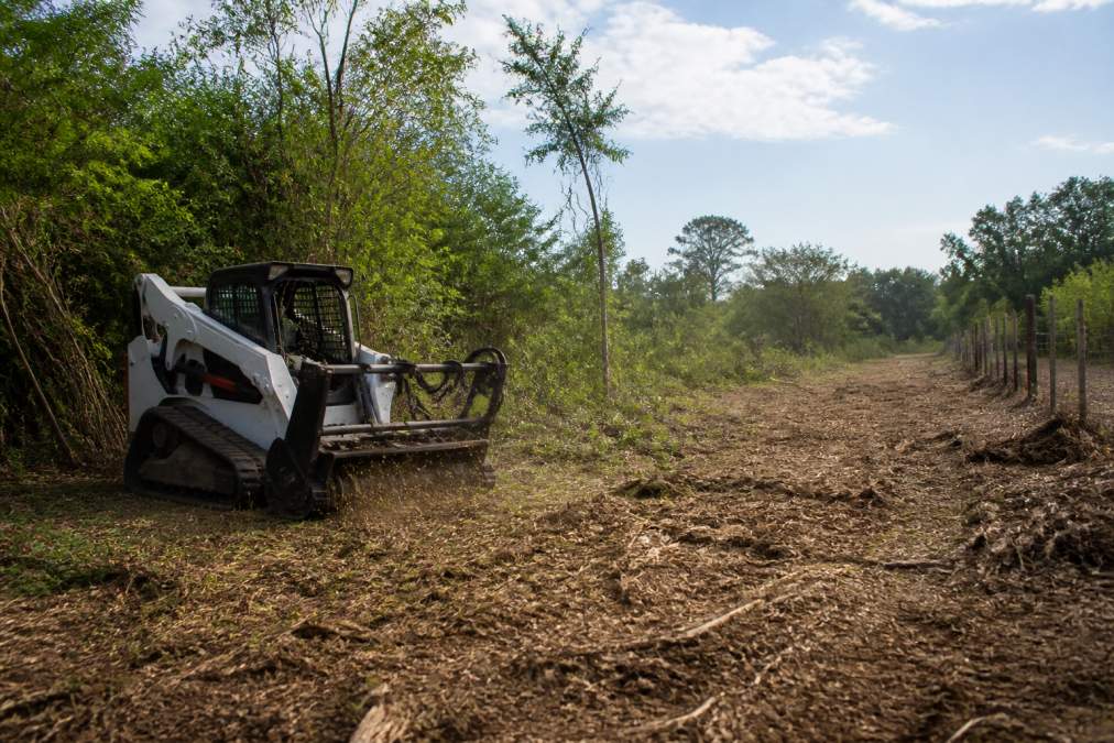 A skid steer equipped with a mulching head clearing thick brush and small trees on a rural East Texas property, with fresh mulch on the ground and a cleared fence line visible in the background