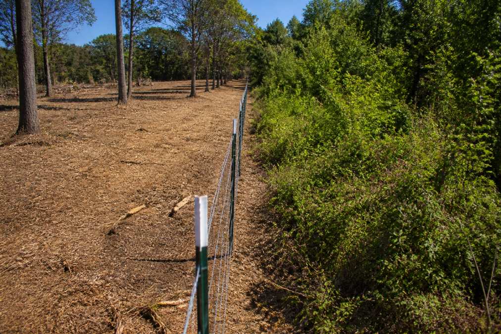 A split-scene view of a fence line: on the left, clean ground covered with a thin layer of wood chip mulch with the fence visible; on the right, the same fence line choked with dense underbrush and saplings under harsh afternoon sun