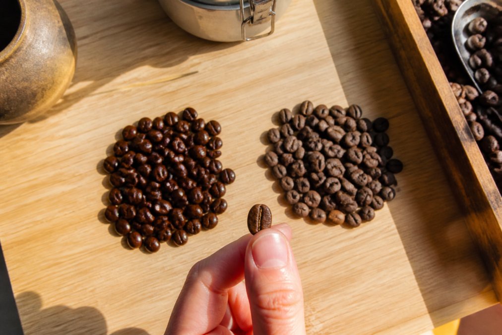 Close-up overhead shot of two small piles of whole coffee beans side by side on a light wooden surface, one pile glossy and dark, the other dull and dry, with a hand holding a single bean up to window light for inspection