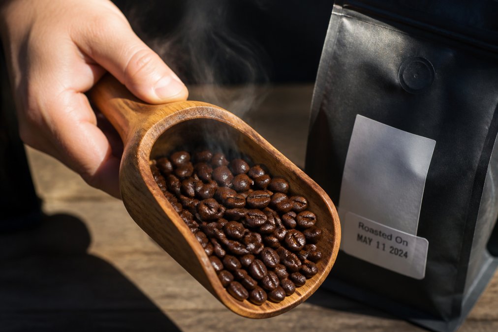 Diagram illustrating how to identify freshly roasted coffee beans by their surface oils, steam, and roast date.
