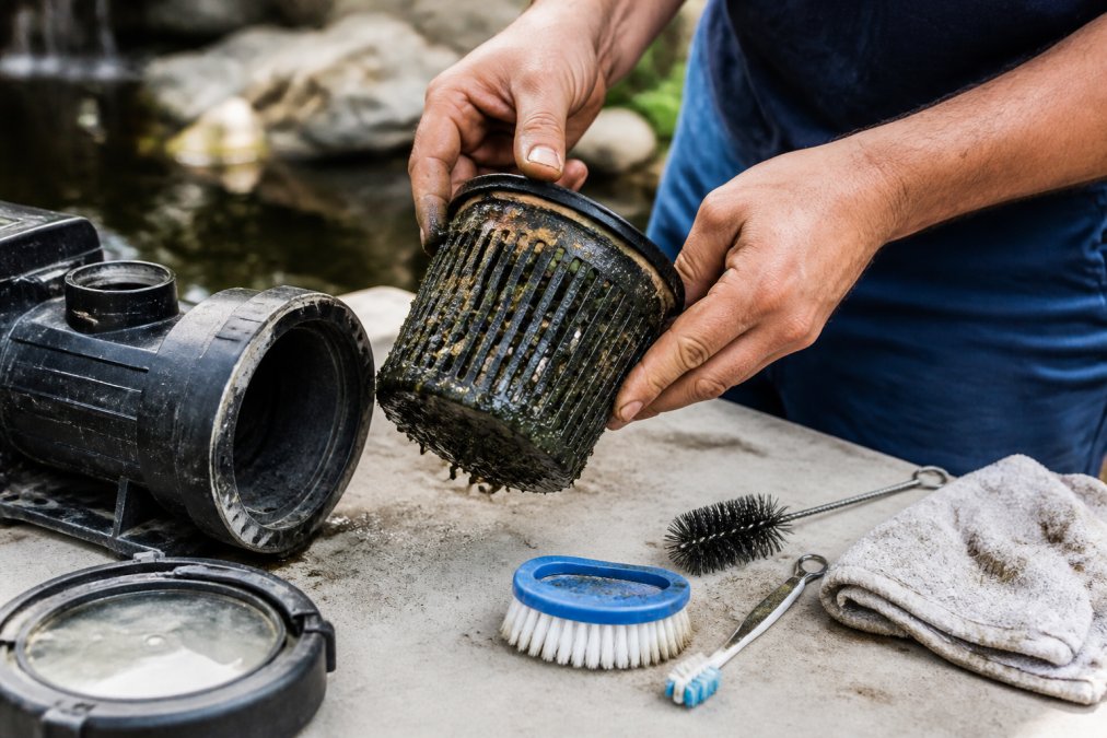 Professional technician's hands carefully removing a pond pump intake screen, revealing visible algae and debris buildup, with cleaning tools including soft brushes and cloth laid out on a clean workbench next to the pump housing