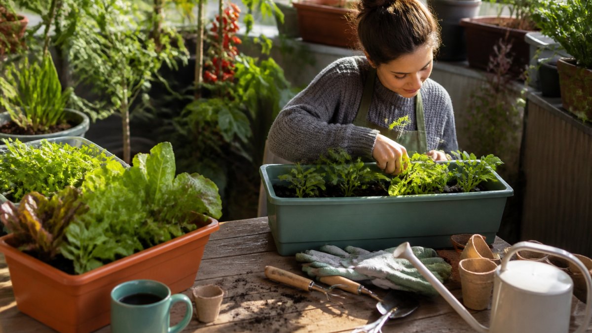 Gardening Accessories for Young Beginners: A Starter Guide