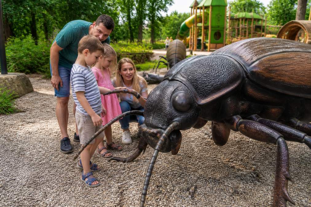 Dzieci z rodzicami badające gigantyczne, wielokrotnie powiększone modele owadów i mikroorganizmów w parku, zbliżające się z ciekawością do szczegółowych rzeźb, z zielenią i bezpiecznymi placami zabaw widocznymi w tle