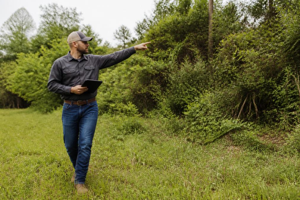 A land clearing professional in work attire walking across a grassy property with dense brush and trees in the background, pointing at a boundary line while holding a tablet