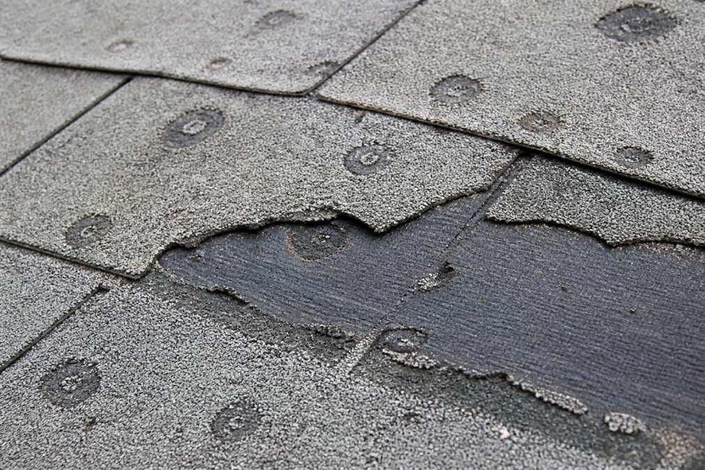 Close-up of roof shingles showing visible hail impact dents and bruising patterns, with granule loss and exposed underlayment visible in natural daylight