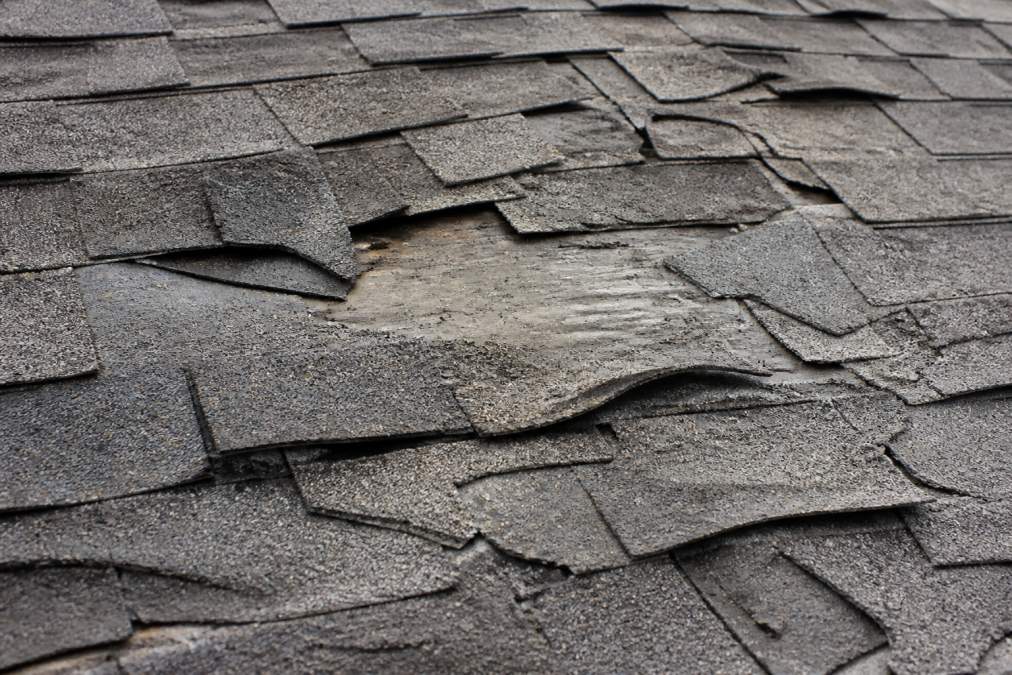 Close-up of roof shingles showing missing pieces, curled edges, and visible damage from severe weather impact