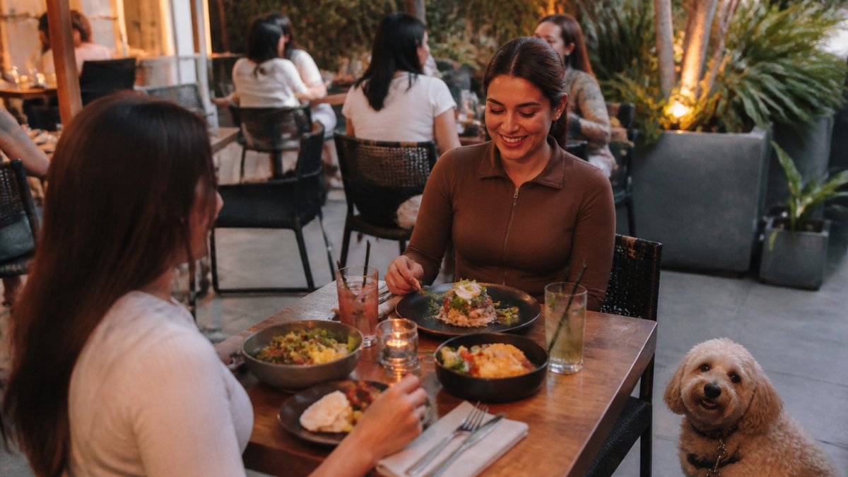 Flowchart outlining the process for gluten-free vegan dining at Robby's West Hollywood restaurant patio.