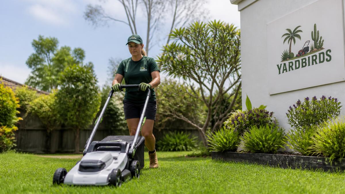 Grass Cutting Guide: Mowing Height, Timing & Tips