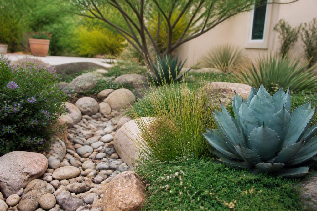 Grounded Landscaping Alternatives for Residential Yards