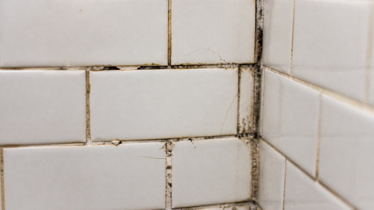 Close-up of bathroom shower tile showing cracked and discolored grout lines with visible mold spots and deteriorating mortar between white subway tiles